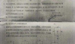 谷歌薪资爆料最新消息是真的吗